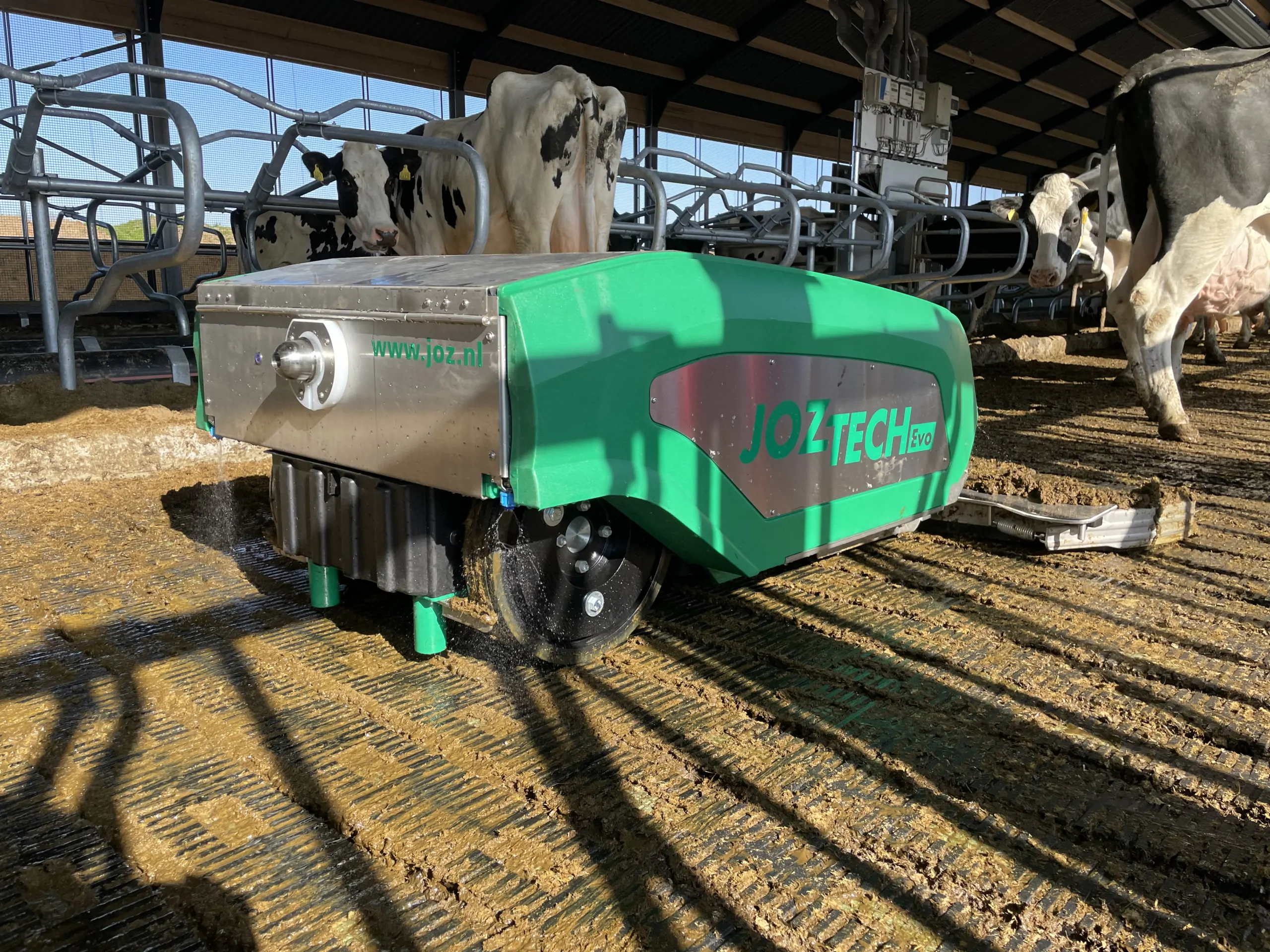 De JOZ-tech sproeit voor en achter, koeien kijken nieuwschierig naar nieuwe mestrobot.